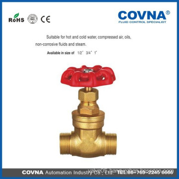 cast-iron handle stem gate valve